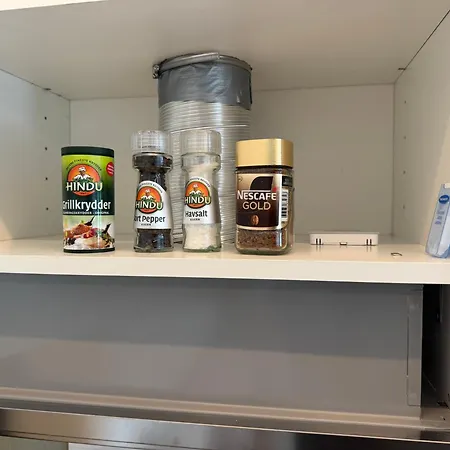 Cozy Mini-apartment With Kitchen